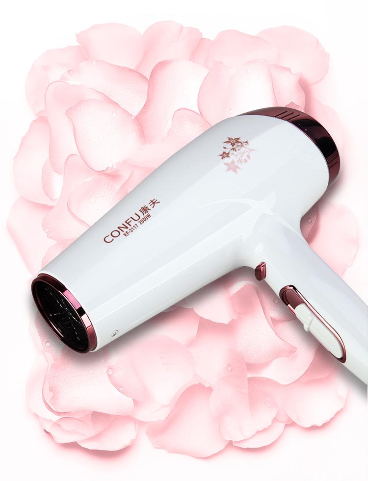 【NY-8205WH】Watt 2 Speeds Professional Hair Dry